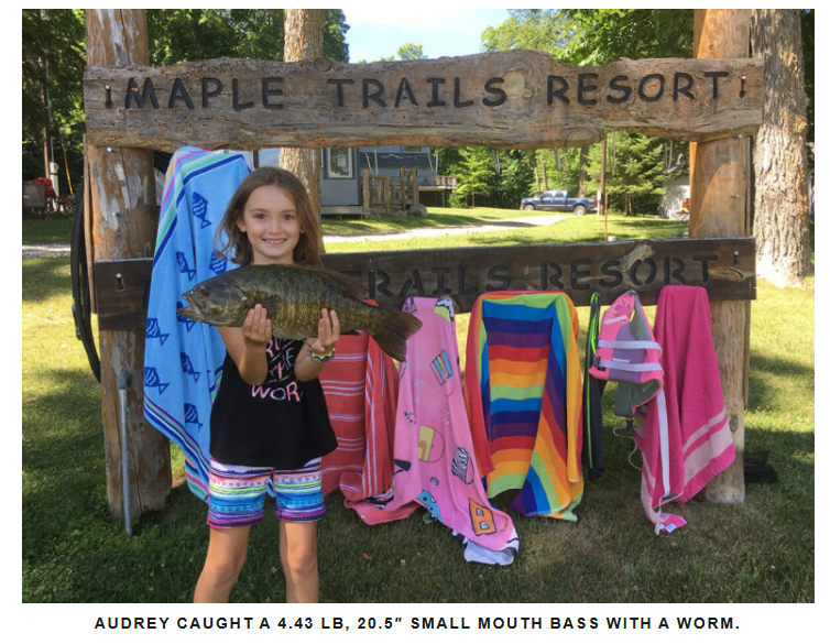 Small mouth bass caught on boy lake with a worm