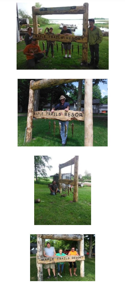 Large lot of fish caught