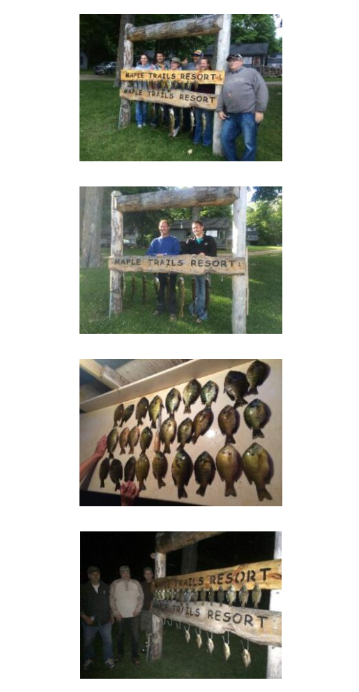 Sunnys and Bluegill and more bass