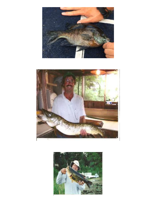 More photos of fish caught at Maple Trails resort